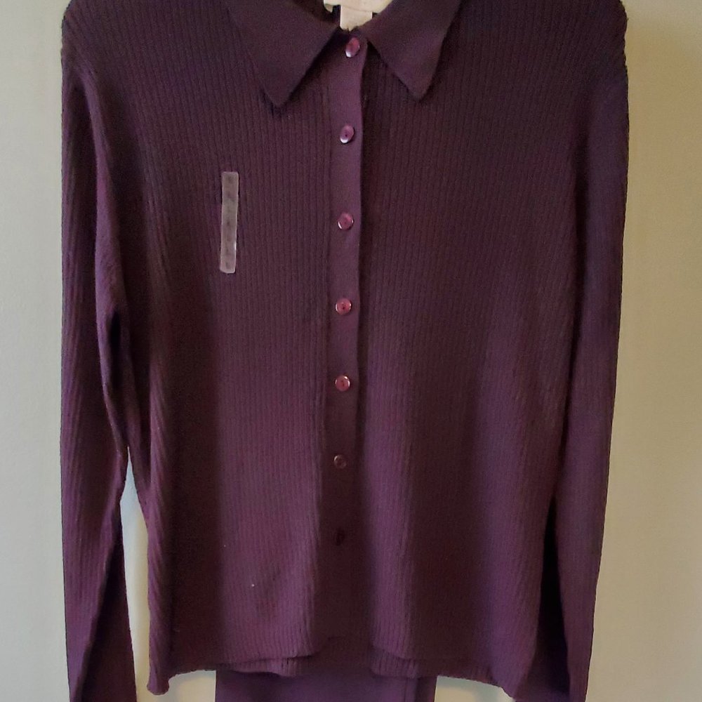 EXPRESS VINTAGE Plum Sweater and Matching Pants